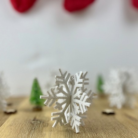 Flocon de Noël