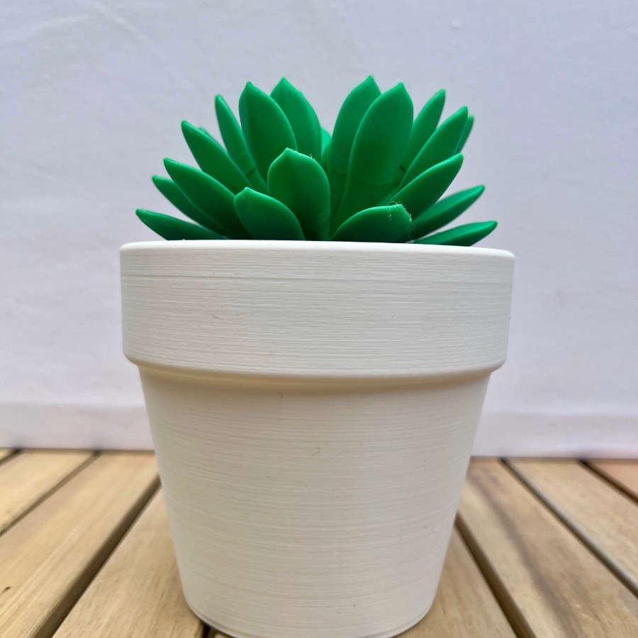 Modern Succulent - 3D Printed Plant and Terra Cotta Style Pot